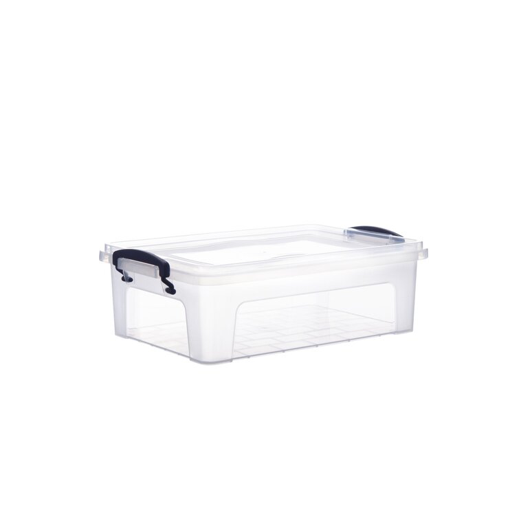 Clear plastic storage on sale containers locking lid